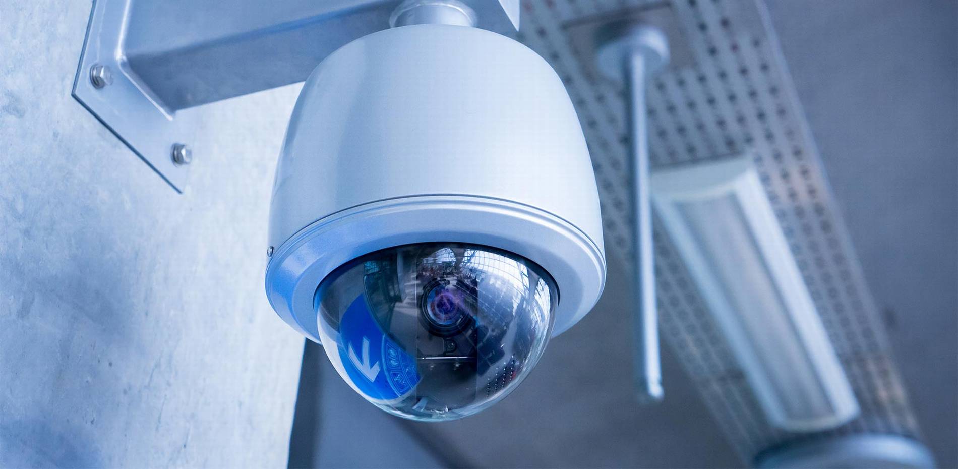 #1 Best Security Camera Company: CAT6 CAT7 CAT8 Network vs Wiring Installer Low Voltage Fiber Optic South Palm Beach